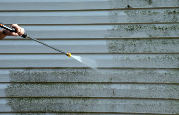 Best Mold Cleaning Services  in Upper Pohatcong, NJ