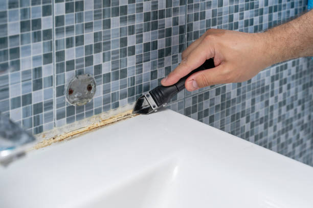 Best Commercial Mold Removal  in Upper Pohatcong, NJ
