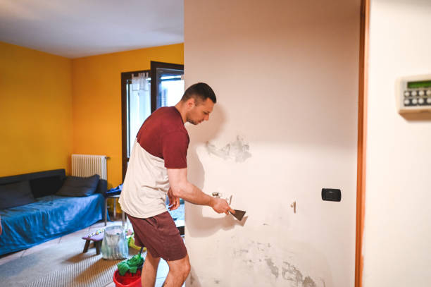 Best Office Mold Removal Services  in Upper Pohatcong, NJ